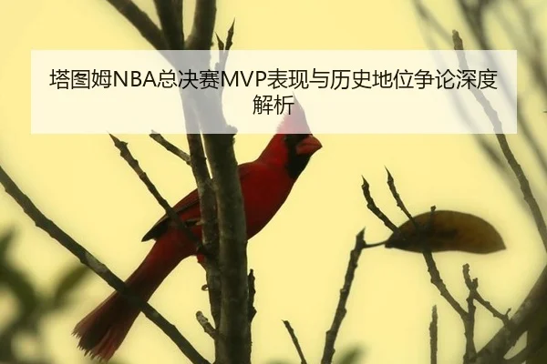 ta-tu-mu-zong-jue-sai-biao-xian-yu-li-shi-di-wei-zheng-lun-shen-du-jie-xi-2-584.jpg